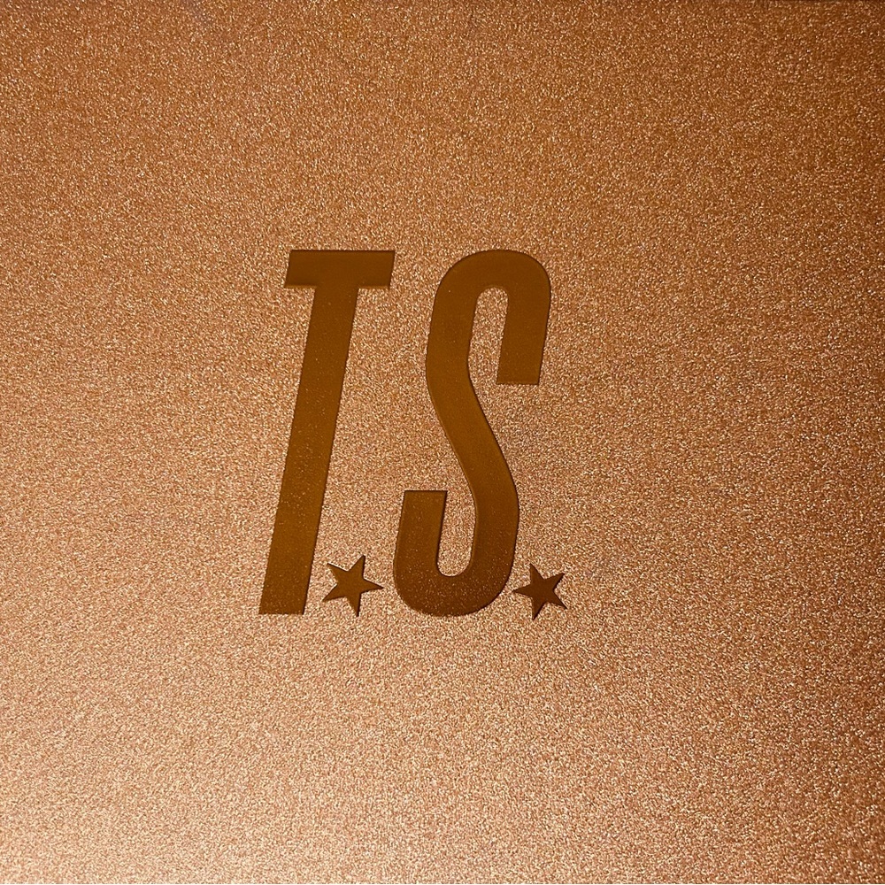 TS Bronze Logo Decor